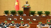 National Assembly reviews bill on WMD non-proliferation